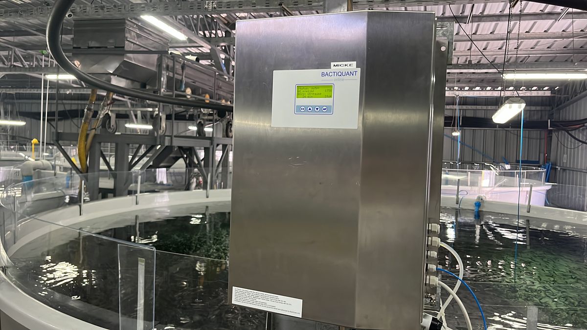 Discover Mowi's journey: Advancing water quality monitoring with BactiQuant's technology