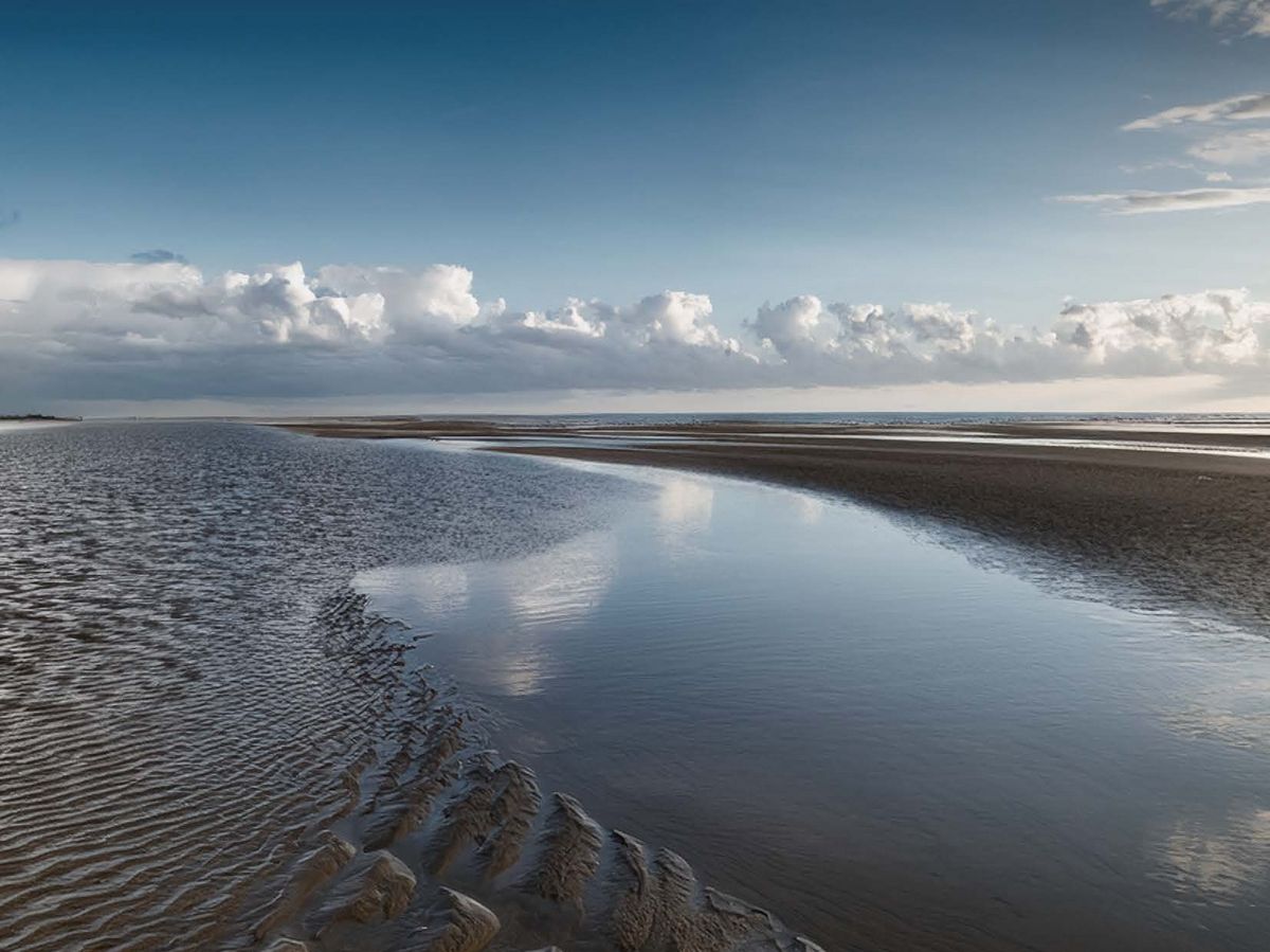 BactiQuant Technology Performance Assessment – Galveston Bay Water “Kill” Study