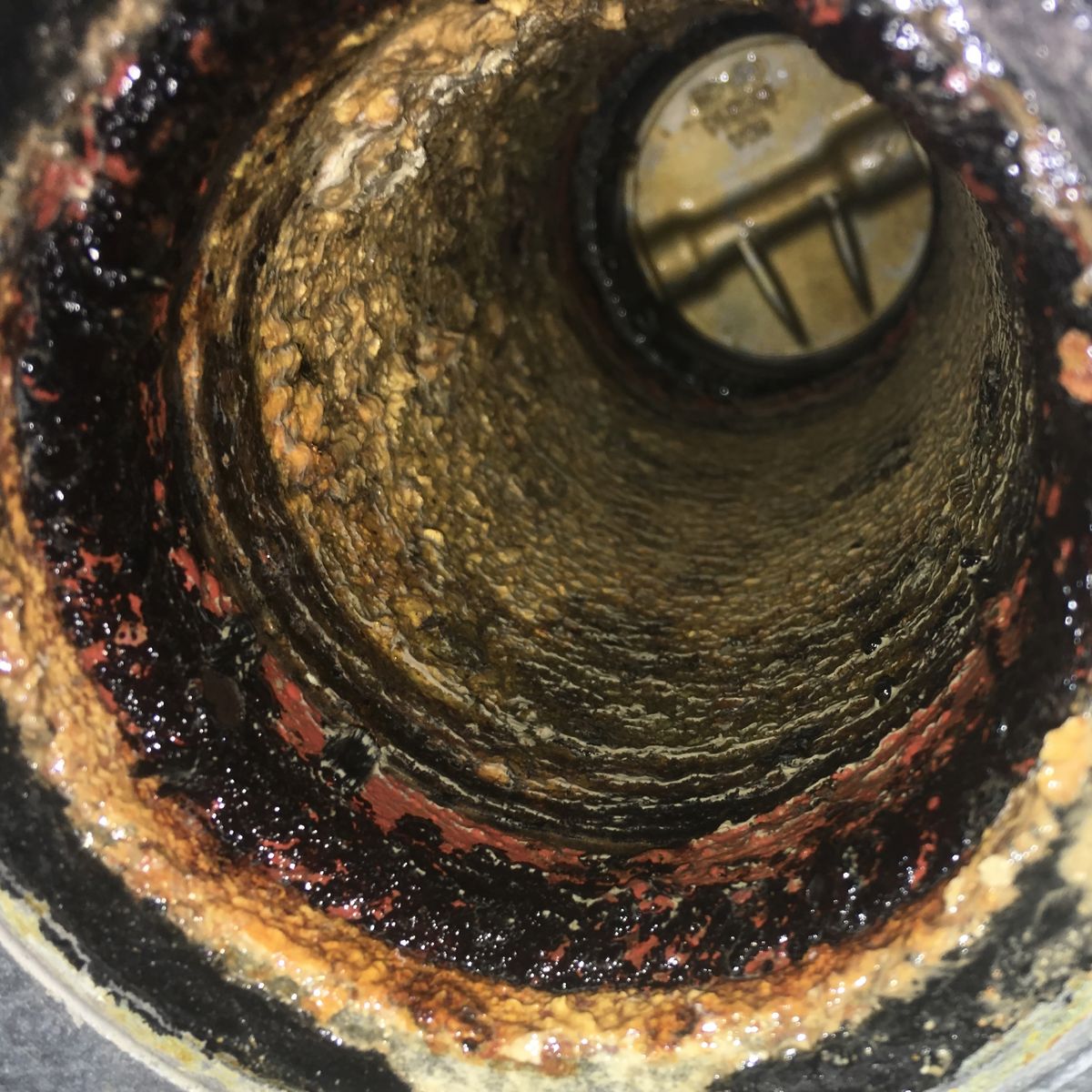 Real-Time Bacteria Monitoring Applications in Oil & Gas Operations can Help to Prevent and Mitigate Corrosion