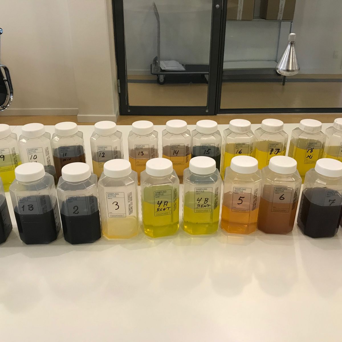Fluorometric detection of hydrolase activity in fuels using the BactiQuant Field Detection Method